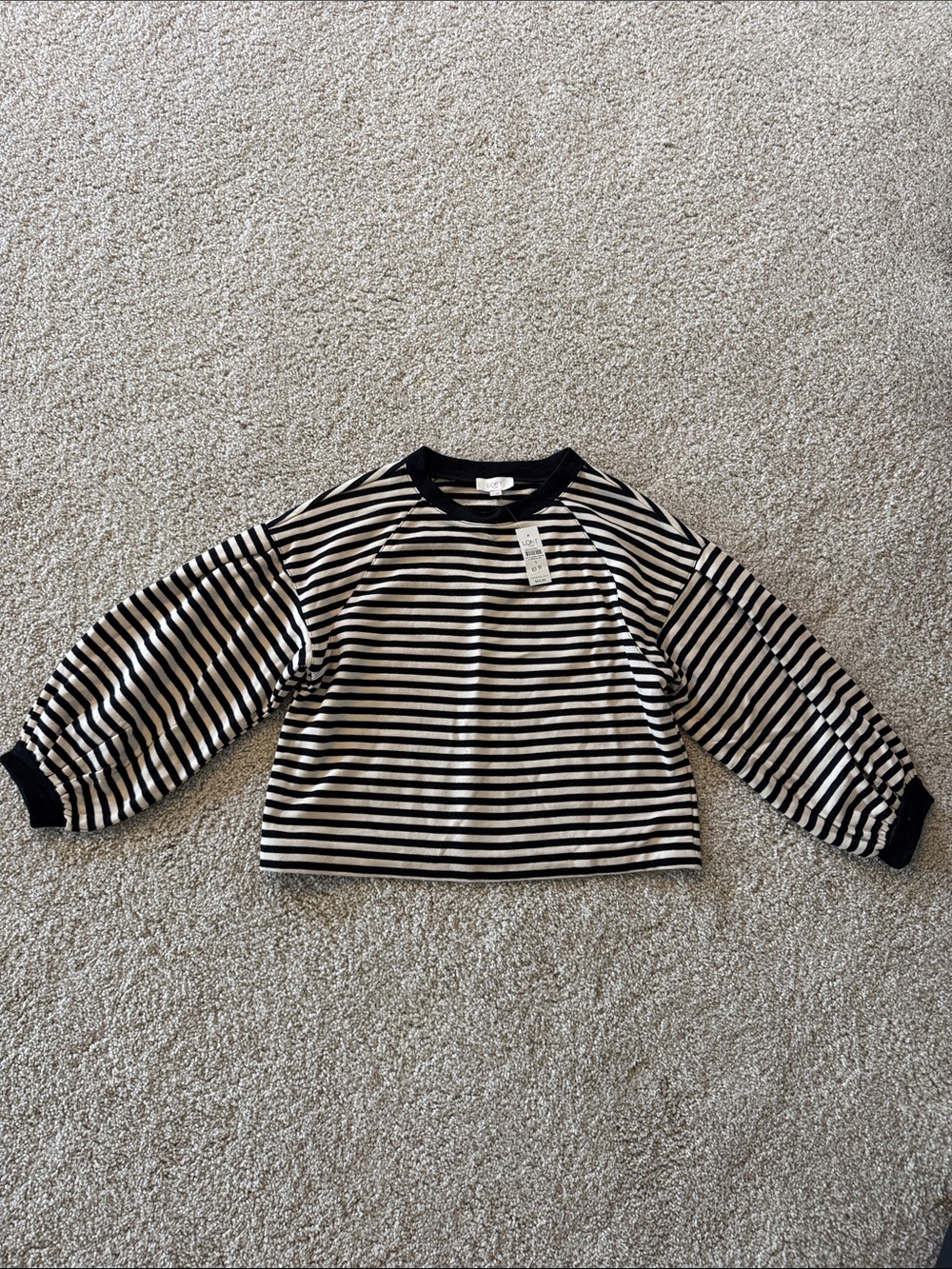 Loft Striped Long Sleeve Pullover Top - Black & White
